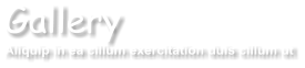 Gallery Aliquip in ea cillum exercitation duis cillum ut