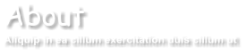 About Aliquip in ea cillum exercitation duis cillum ut