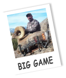 BIG GAME